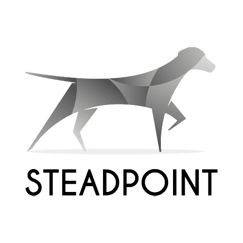 SteadPoint Insurance Group